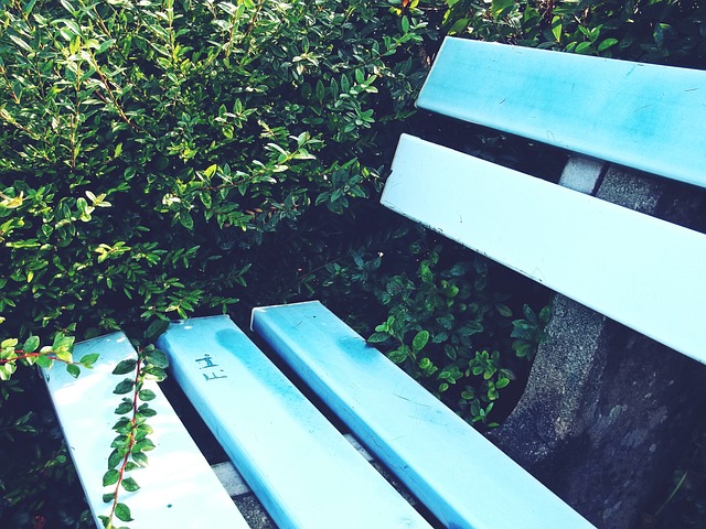 员长远发展 员长远发展