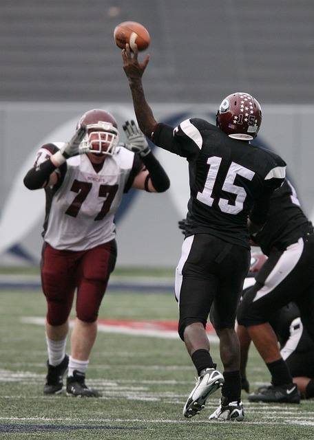 滑翔伞运动 滑翔伞运动