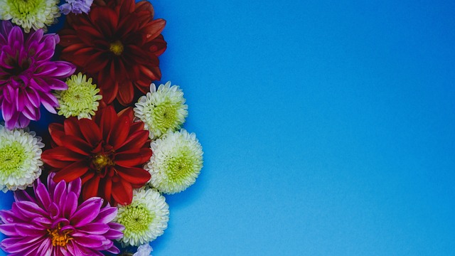 日本网友的 日本网友的