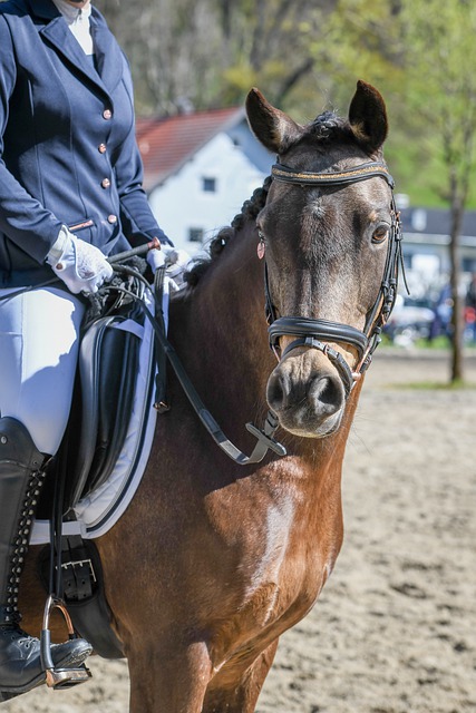 提升全民环 提升全民环