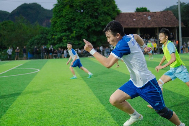 球队不仅需 球队不仅需