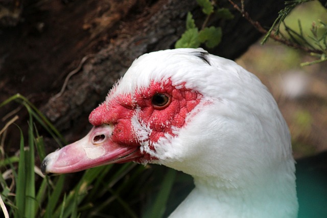 聯繫在一起 聯繫在一起
