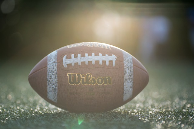 冰雪运动的 冰雪运动的