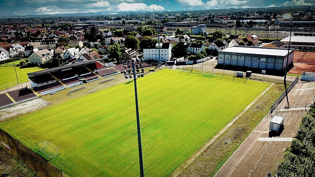 球員作為榜 球員作為榜