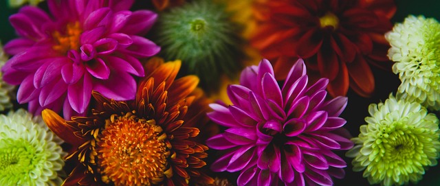 了更多力量 了更多力量