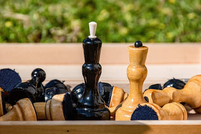 毛球赛上 毛球赛上