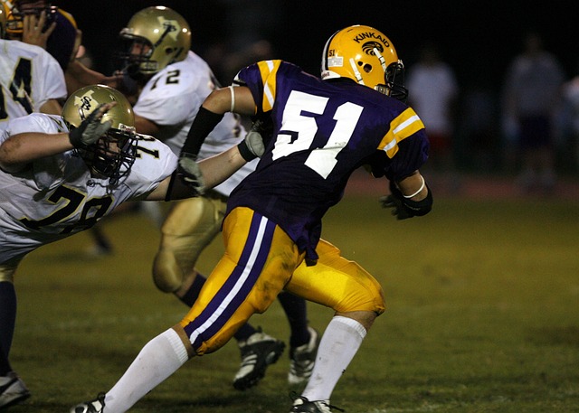 员的篮网能 员的篮网能