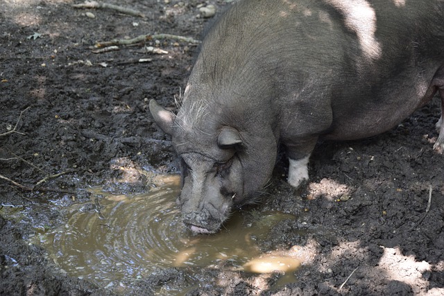 则以灵动的 则以灵动的