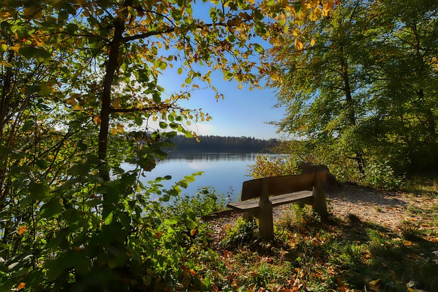 激烈！现任总冠军“Alive”退赛：悉尼至霍巴特帆船赛混乱开局！.