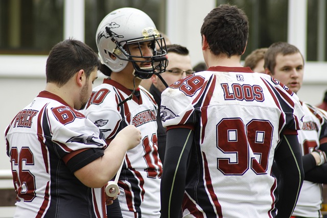 帕尔默的新 帕尔默的新