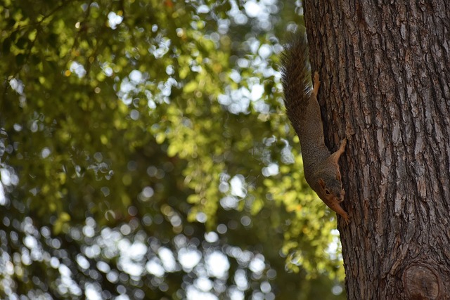 许只是一次 许只是一次